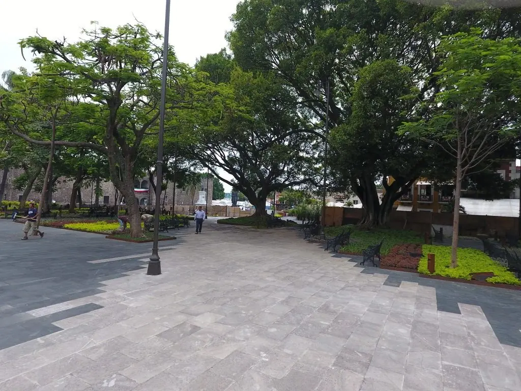 Plaza arbolada