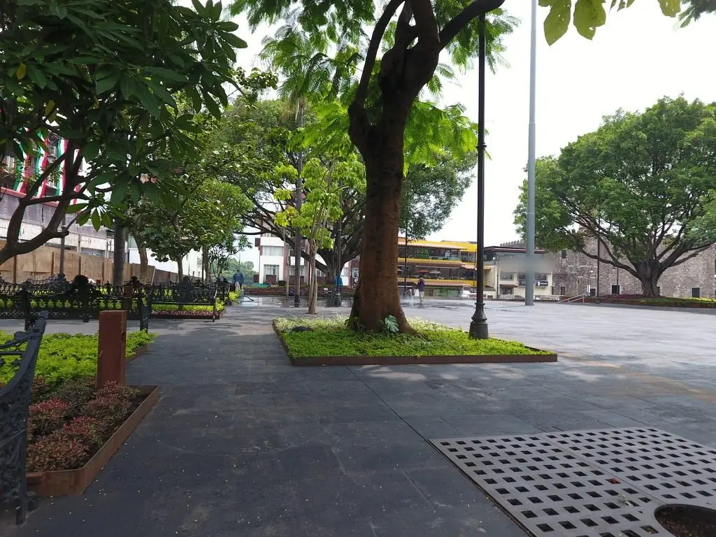 Plaza con jardineras