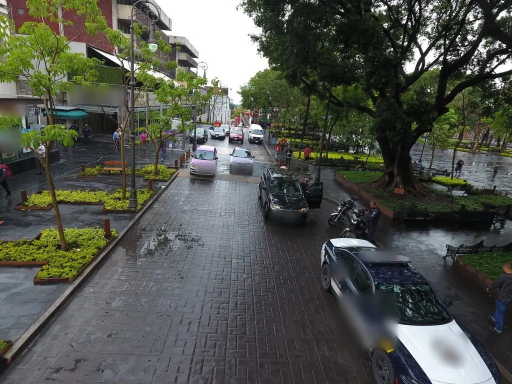 Calle peatonal renovada